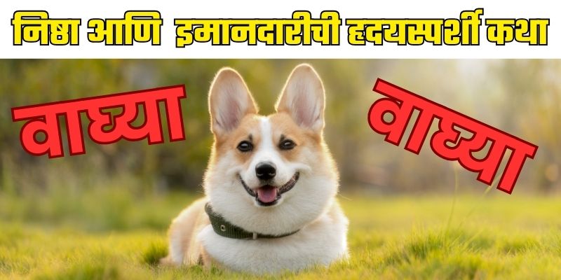 Marathi Story Emotional