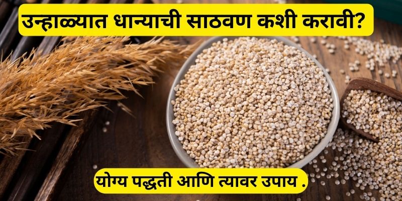 उन्हाळ्यात धान्याची साठवण कशी करावी? (How to store food grains in ...