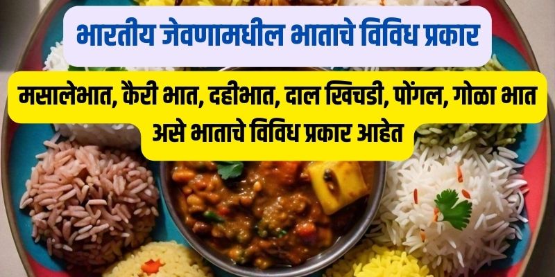 variety of rice in indian cuisine